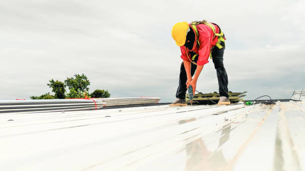 Best Skylight Installation and Repair  in Secaucus, NJ
